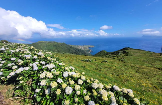 Visite complète de l'île de Flores - Photo 6