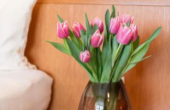 Appartementhaus Gaby - Foto 7