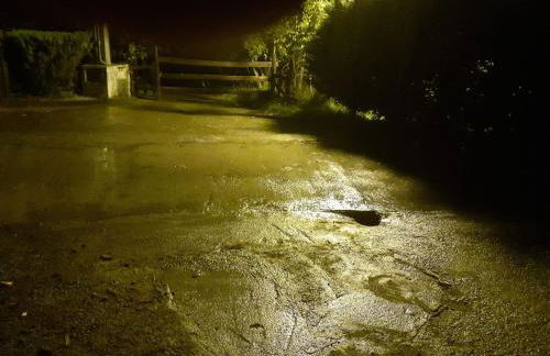 Monte Baserria - Foto 10