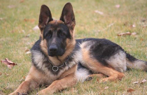 Gites le Pimayon - Foto 68