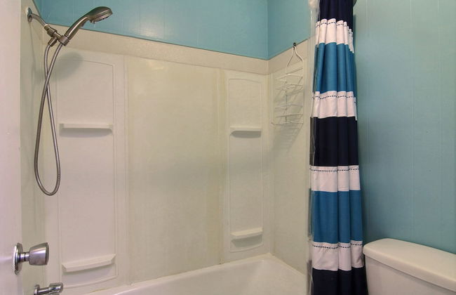 Ir19-on the Half Shell - Foto 5