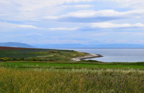 Apartment Ivy - Foto 21