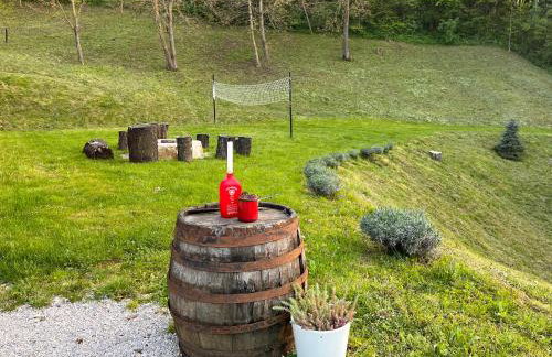 Vila Countryhouse Pijevci - Foto 7