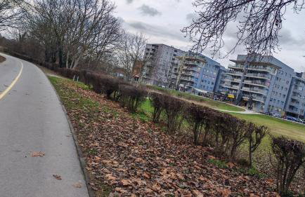 Apartman Joža-jezero Jarun - Foto 35