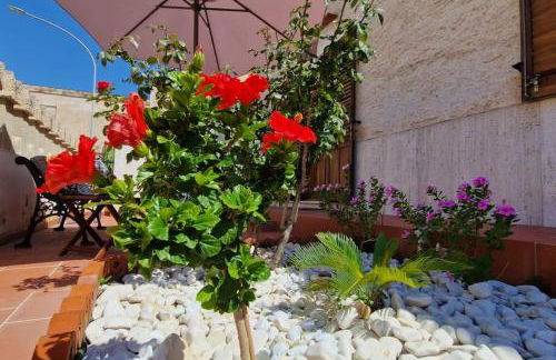 La Cava di Sasà - Foto 2