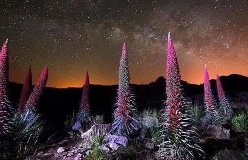 Casa Lucía - Foto 20