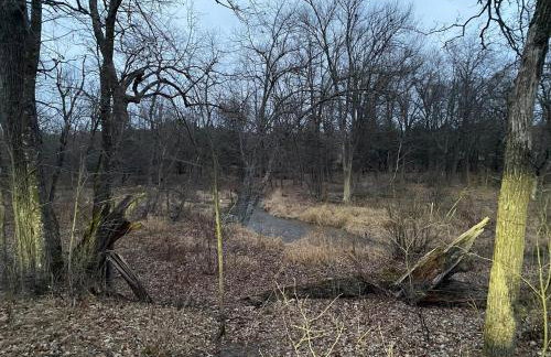 Cabin in the woods with fire pit and porch - Foto 54