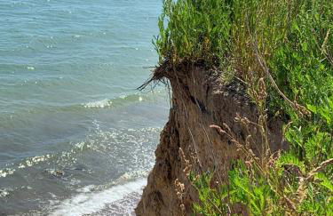 Küstenläufer - Foto 10