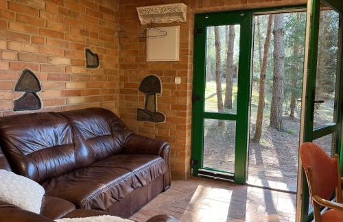 Raj na Kaszubach - Pałubicka Bór - Domy na Wynajem - Foto 77