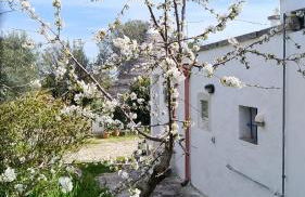 Trulli Eutopia - Foto 21