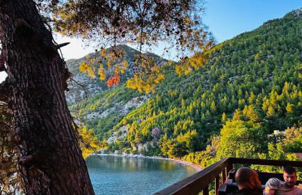 Cassiopea Guest House Evia Greece - Foto 44