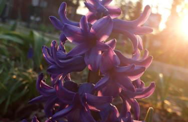 Gartenblick Trebbin - Foto 21