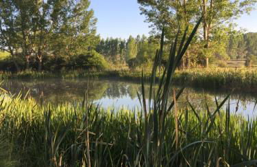 Casa Las Tinajas - Foto 60