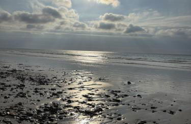 Château de Chimay - Foto 14