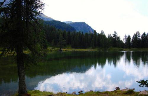 Residence Rododendro - Foto 17