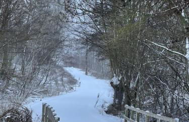 MP 1 Ankerplatz - Foto 17