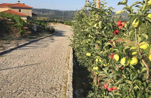 Quinta BEMBOA Turismo Espaço Rural - Foto 21