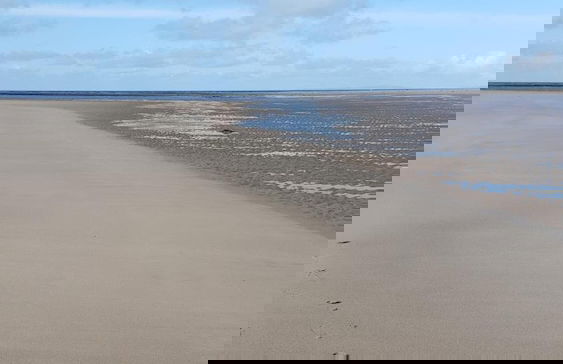 Hendre Coed Isaf - Photo 38