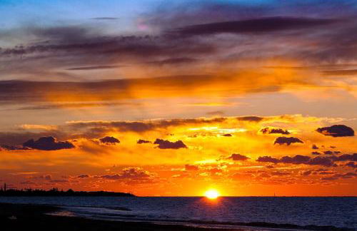 Aires de Doñana. Piscina y Playa. Parking gratis. - Foto 41