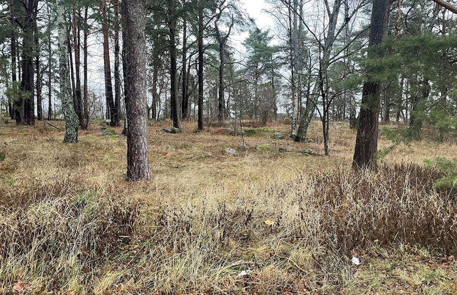 Rudbecksgatan - Foto 48