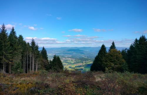 Sylva Apartment - Foto 35