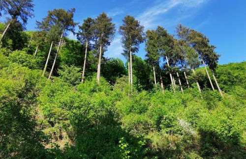 Ferienwohnung Auszeit - Photo 28