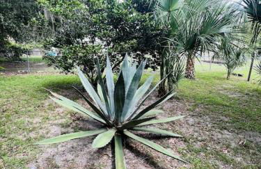 House of Shells, beautiful garden, fenced yard, dog friendly, fire pit! - Foto 28