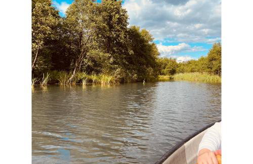 Forest Mood - Foto 64