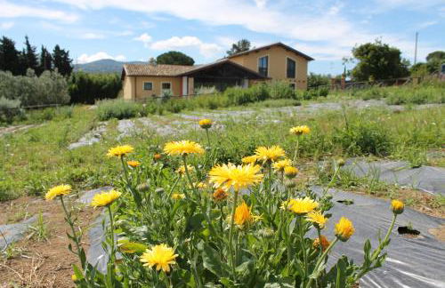 Country House Erba Regina - Foto 59