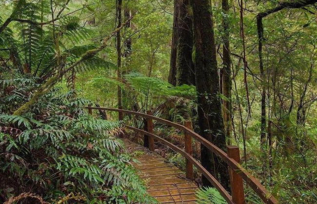 The Source Otways - Foto 27