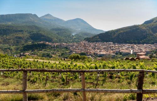 Agriturismo Dispenza - Foto 117