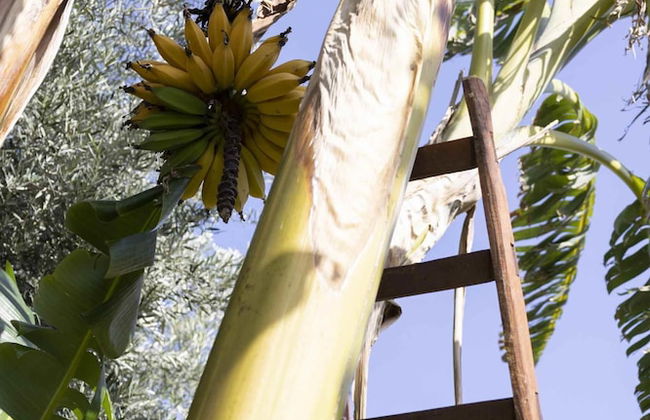 Casale Della Pergola With Cottage Sugarcane Pool - Foto 58