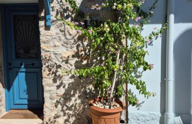 Apartment Rustico - Photo 14