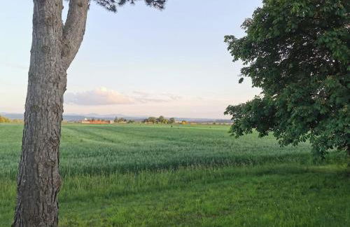 Chalet am Feldrand - Foto 18