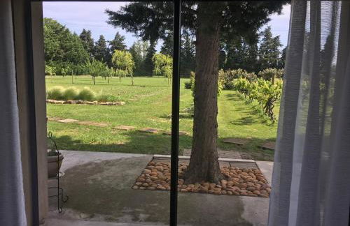 Safranière des Sorgues - Photo 6