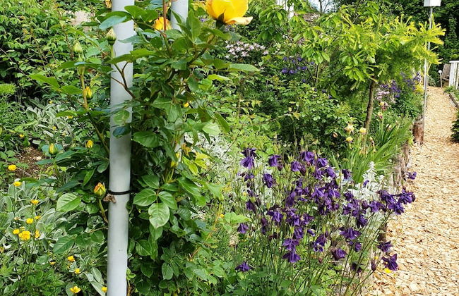 Ferienhaus BLACK & WHITE - Photo 63