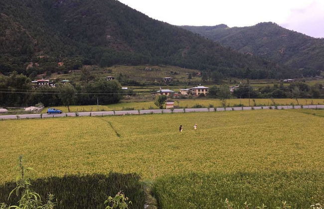 AMA's Village Lodge - Foto 37