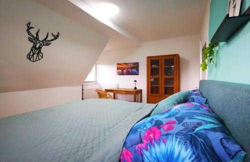 NEU Apartment Blumenstraße - Foto 14