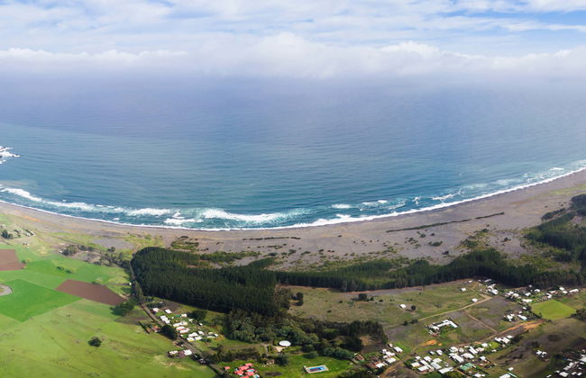 Tour privado pela costa de Gran Concepción - Foto 7