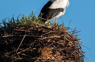 Domek Nad Rozlewiskiem z kominkiem - Foto 32