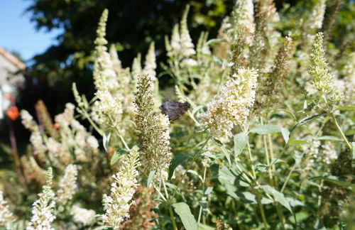 Gîte à la campagne avec cheminée - calme et nature - Foto 22