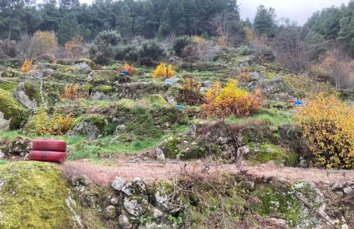 A Casa da Rapariga de Cabelo Azul - Foto 44