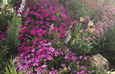 Da Mario & Marianna - Foto 3