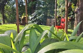 Refúgio em Macacos para até 12 hóspedes com piscina aquecida, 5 suítes e riacho - Foto 33