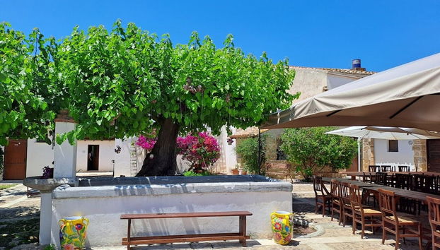 Fattoria Manostalla Villa Chiarelli - Foto 2, Profilbild