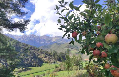 Casa Matapalacios - Foto 27