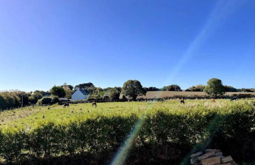 Field house - Foto 19