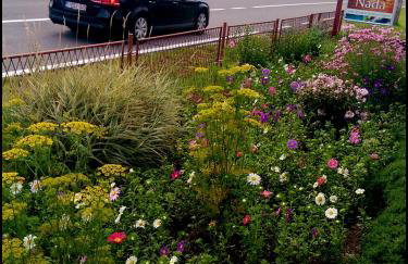 House Nada - Foto 15