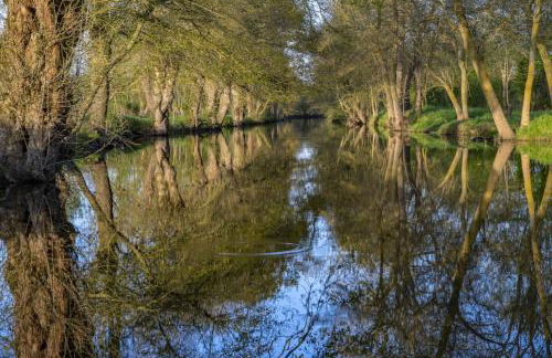 Gîte Au Petit Bonheur - Photo 26