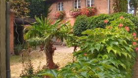 Ferienhaus in der historischen Altstadt von Angermünde - Foto 4